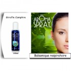 Aromaspray - Assainisseur d'atmosphère aux huiles essentielles - Girofle et de Camphre - 100% pures et naturelles - 100 ml